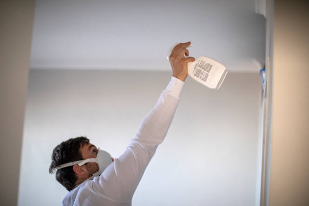 Best Affordable Mold Removal  in Maroa, IL