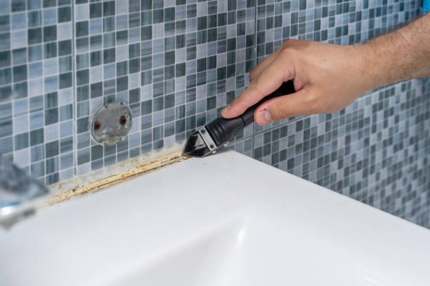 Best Toxic Mold Removal  in Maroa, IL